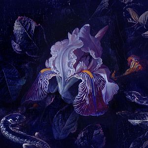 Fotoğraf O Beautiful Night