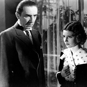 Fotoğraf The Black Cat