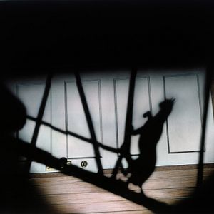 Fotoğraf The Black Cat