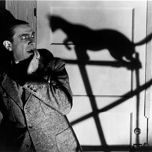 Fotoğraf The Black Cat