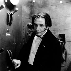 Fotoğraf The Black Cat