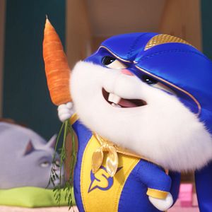 Fotoğraf Evcil Hayvanların Gizli Yaşamı 2