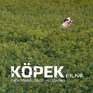 Fotoğraf Köpek Filmi
