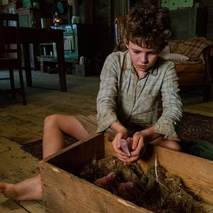 Fotoğraf Finn Little