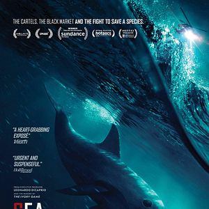 Fotoğraf Sea of Shadows