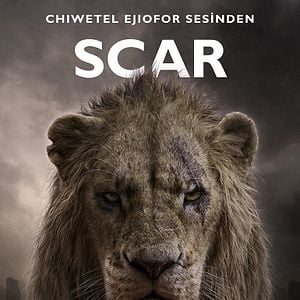 Fotoğraf Aslan Kral