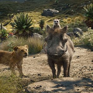 Fotoğraf Aslan Kral