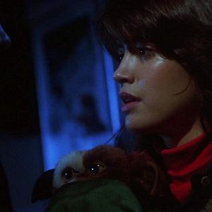 Fotoğraf Gremlinler