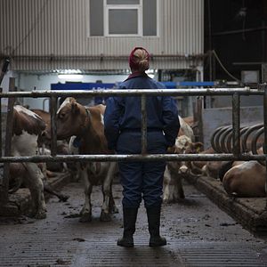 Fotoğraf Arndís Hrönn Egilsdóttir