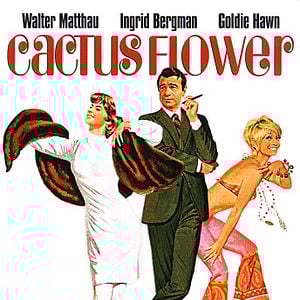 Fotoğraf Cactus Flower