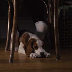 Fotoğraf Dostumun Yolculuğu