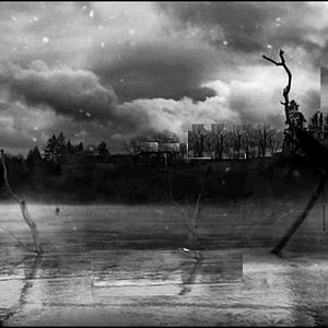 Fotoğraf Boyalı Kuş