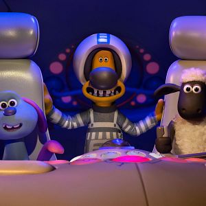 Fotoğraf Kuzular Firarda