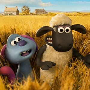 Fotoğraf Kuzular Firarda