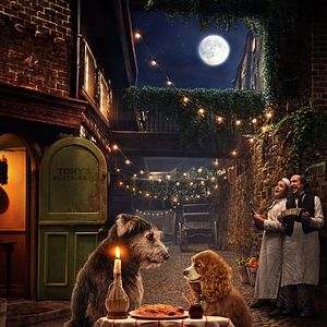 Fotoğraf Lady And The Tramp