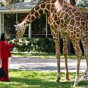 Fotoğraf Rosario Dawson
