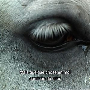 Fotoğraf Ne croyez surtout pas que je hurle