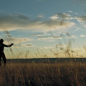 Fotoğraf Ashley Zukerman