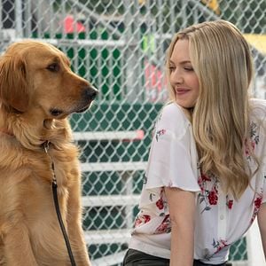 Fotoğraf Enzo: Yağmurda Yarış Sanatı