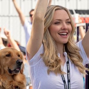 Fotoğraf Enzo: Yağmurda Yarış Sanatı