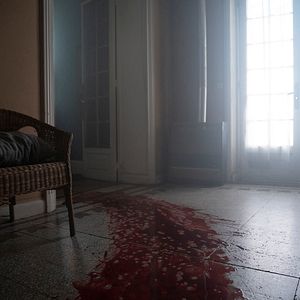 Fotoğraf Marianne (2019)