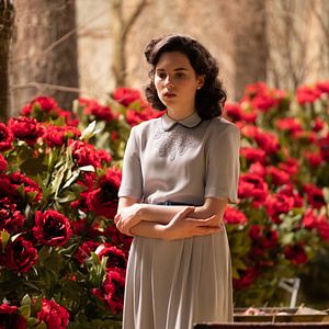 Fotoğraf Darci Shaw