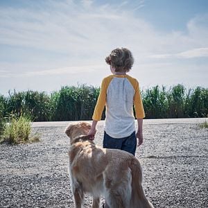 Fotoğraf In the Tall Grass