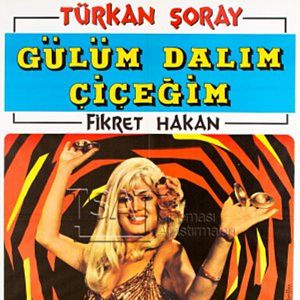 Fotoğraf Gülüm Dalım Çiçeğim