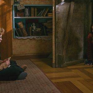 Fotoğraf Tavşan Jojo