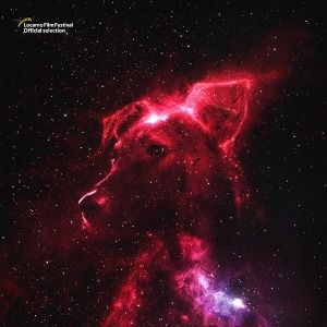 Fotoğraf Space Dogs