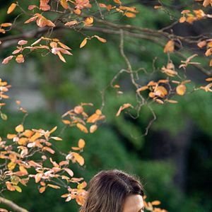 Fotoğraf Saklı Gerçekler