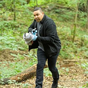 Fotoğraf Frank Harts