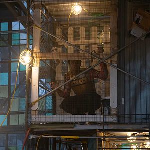 Fotoğraf Austin Crute