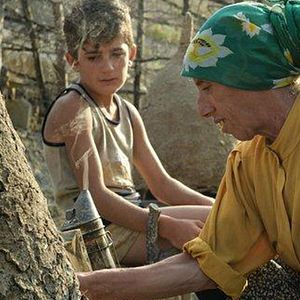 Fotoğraf Bal Ülkesi