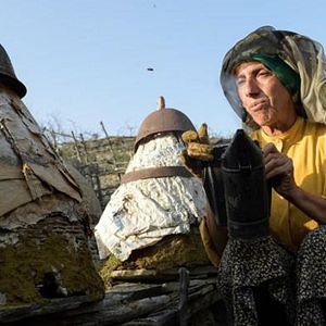 Fotoğraf Bal Ülkesi