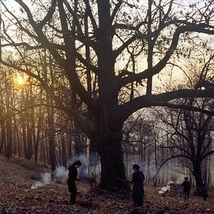 Fotoğraf Zgodbe iz kostanjevih gozdov