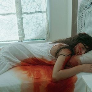 Fotoğraf The Amityville Murders