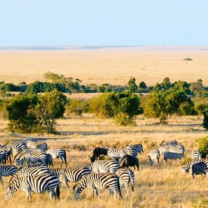 Fotoğraf Recep İvedik 6