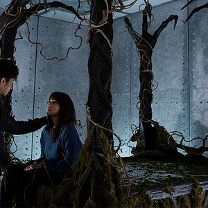 Fotoğraf Motel Acacia