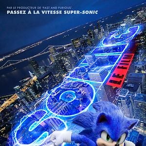 Fotoğraf Kirpi Sonic