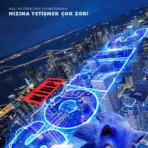 Fotoğraf Kirpi Sonic