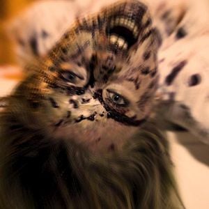 Fotoğraf Mühr-ü Cin