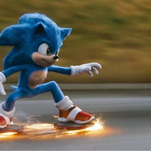 Fotoğraf Kirpi Sonic