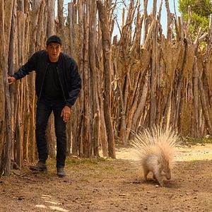 Fotoğraf Ramzy Bedia