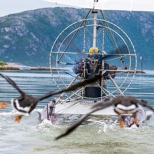 Fotoğraf Donne-moi des ailes