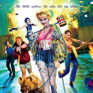 Fotoğraf Yırtıcı Kuşlar