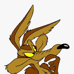 Fotoğraf Coyote vs. Acme