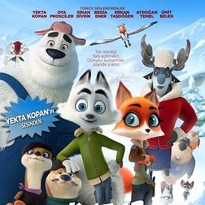 Fotoğraf Kutup Köpekleri