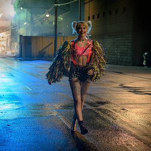 Fotoğraf Yırtıcı Kuşlar