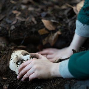 Fotoğraf Brahms: The Boy II